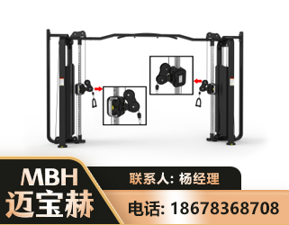 嘉峪关大飞鸟训练器