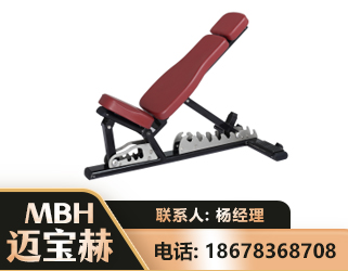 嘉峪关可调哑铃椅